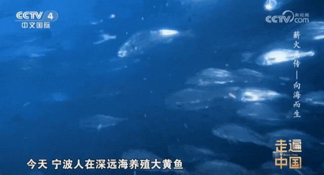 GIF 2026-1-2 11-44-42.gif