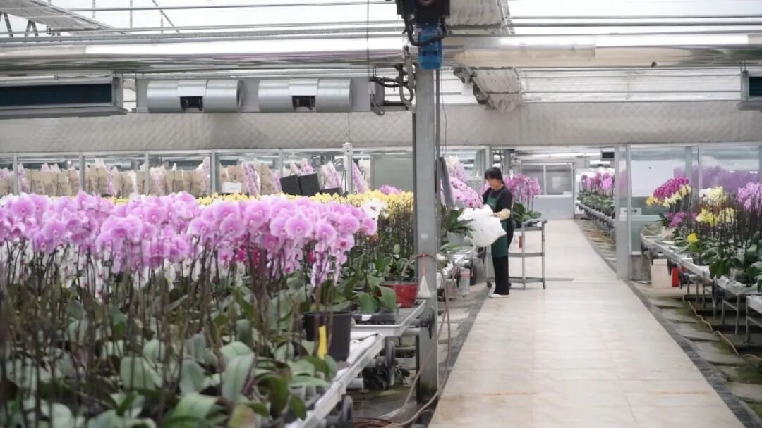 盐都2026：以“高新”为笔，绘就现代化新图景