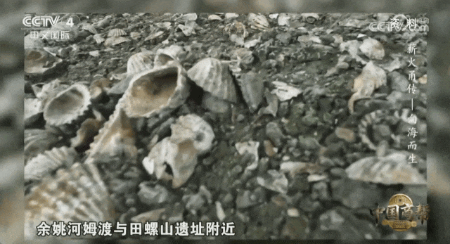 GIF 2026-1-2 11-43-07.gif