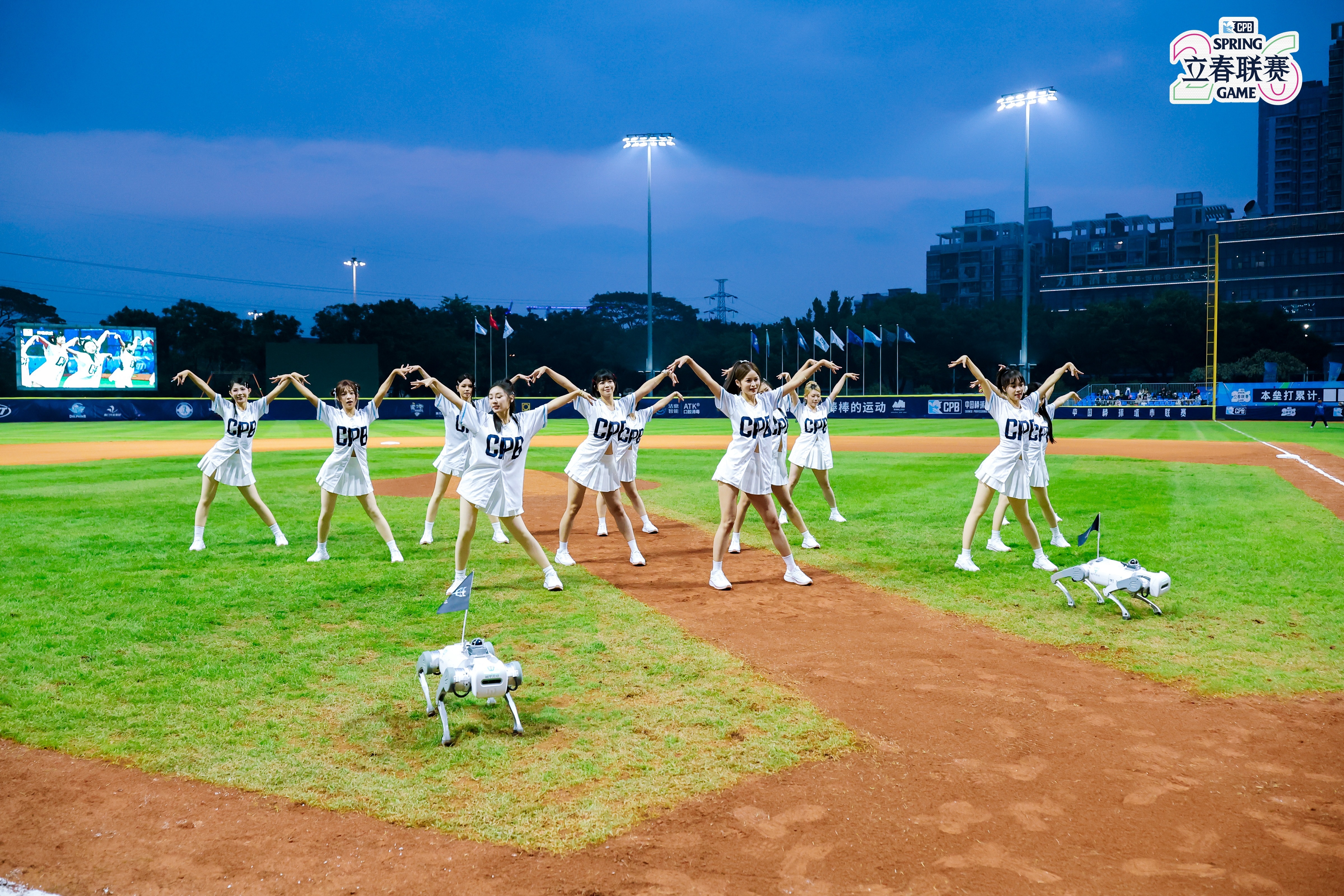 中国棒球“嘉年华”启幕：2026立春联赛热力开球
