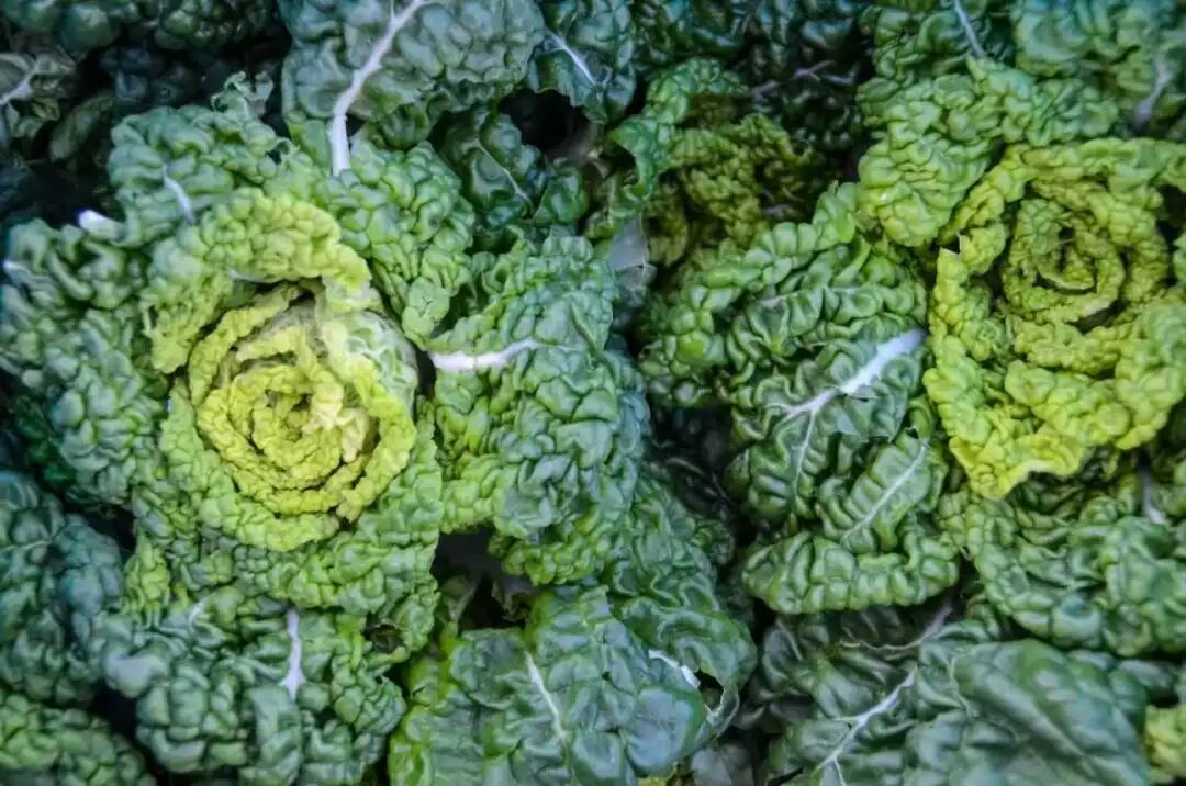 “拿肉都不换”！宁波正大量上市，错过等一年