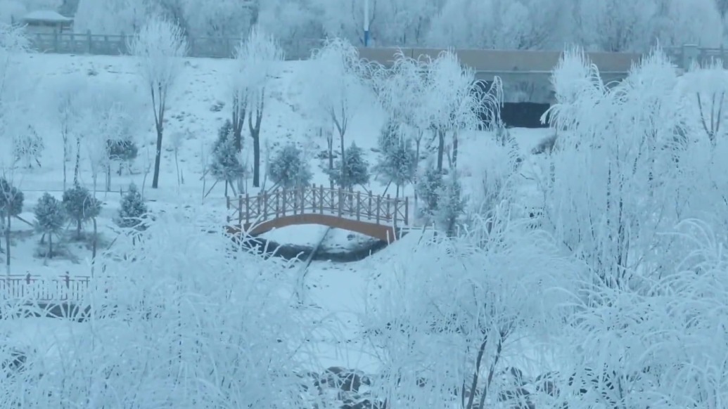 寒雾凝霜　玉树琼枝