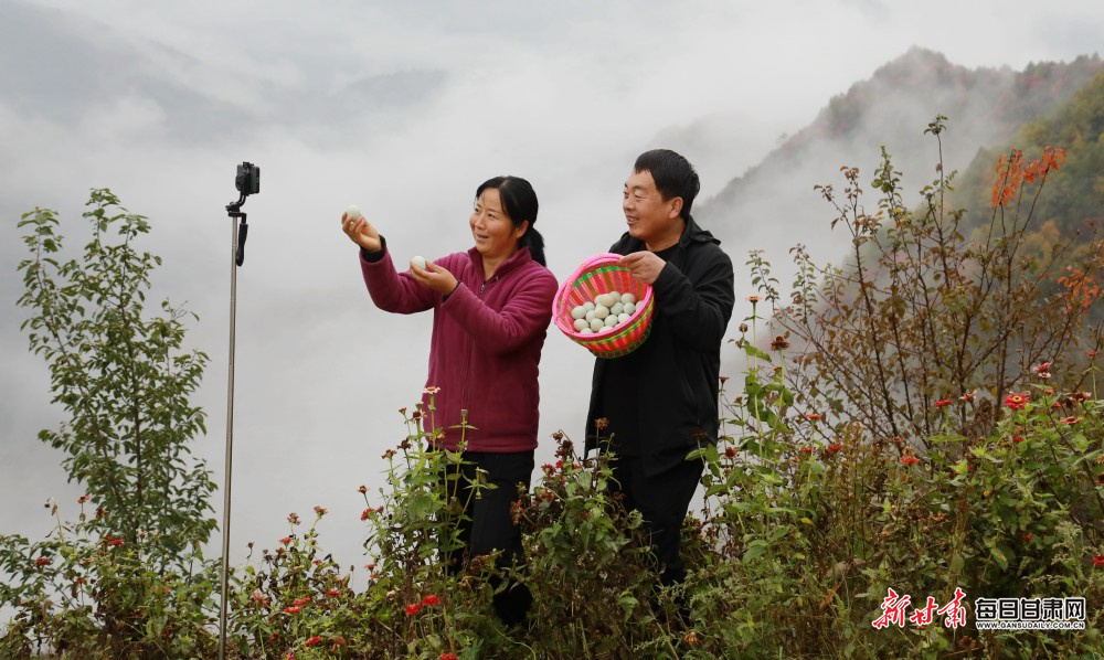 两当县西坡村的云海间，“新农人”夫妻冯治义与冯月红架起直播设备，推介林下绿壳鸡蛋，将生态优势转化为产业优势。新甘肃&middot;每日甘肃网通讯员　李旭春　摄
