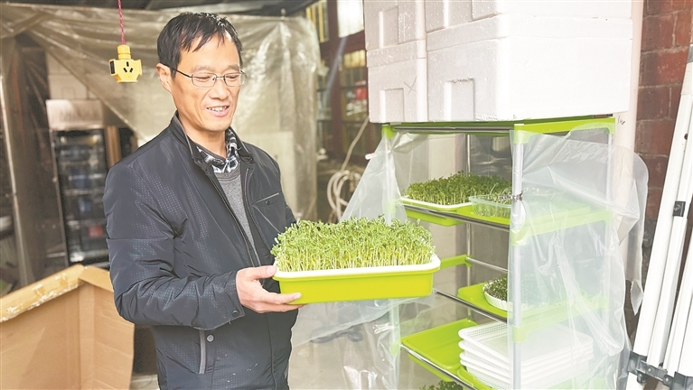 陈飞展示自己栽培的豌豆苗。 本报全媒体记者 陈 璋摄