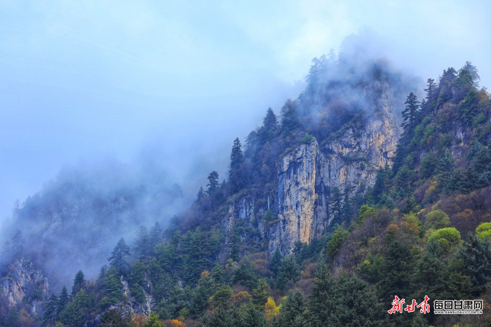 夏日，徽县牵头举办陕甘川渝四省市嘉陵江摄影联展，以镜头为桥串联流域生态之美与文旅活力；临夏州摄影家协会走进康乐县开展采风行活动，用影像深挖“稼轩祖籍”文化内涵，呈现乡村发展新貌。新甘肃&middot;每日甘肃网通讯员　綦波　李萍　摄