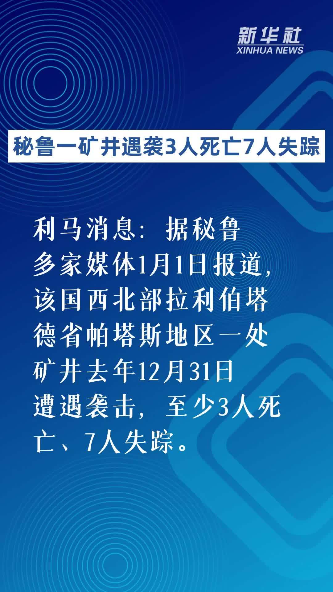 秘鲁一矿井遇袭3人死亡7人失踪