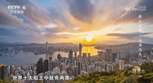 GIF 2026-1-2 11-18-12.gif