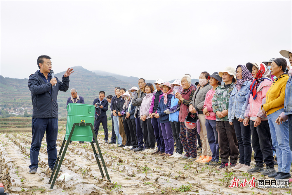 9月，通渭县常河镇的田间地头化身“移动课堂”，专家团队为种植户送上技术指导，精准助力粮油单产提升。新甘肃&middot;每日甘肃网通讯员　张子斌　摄