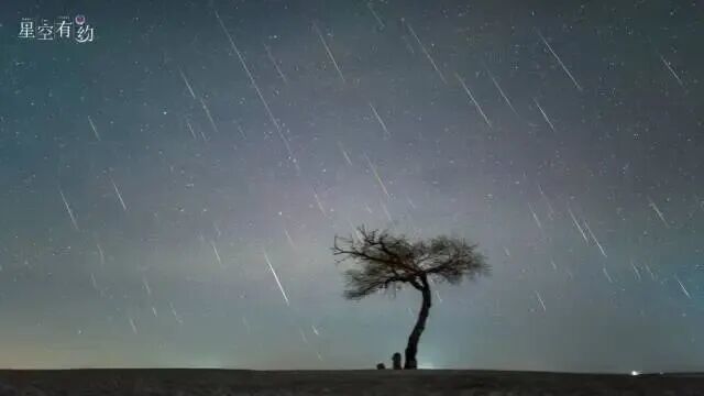 2021年1月3日在黑龙江大庆拍摄的象限仪座流星雨(多张叠加)。(刘成山/摄)图源:星联CSVA