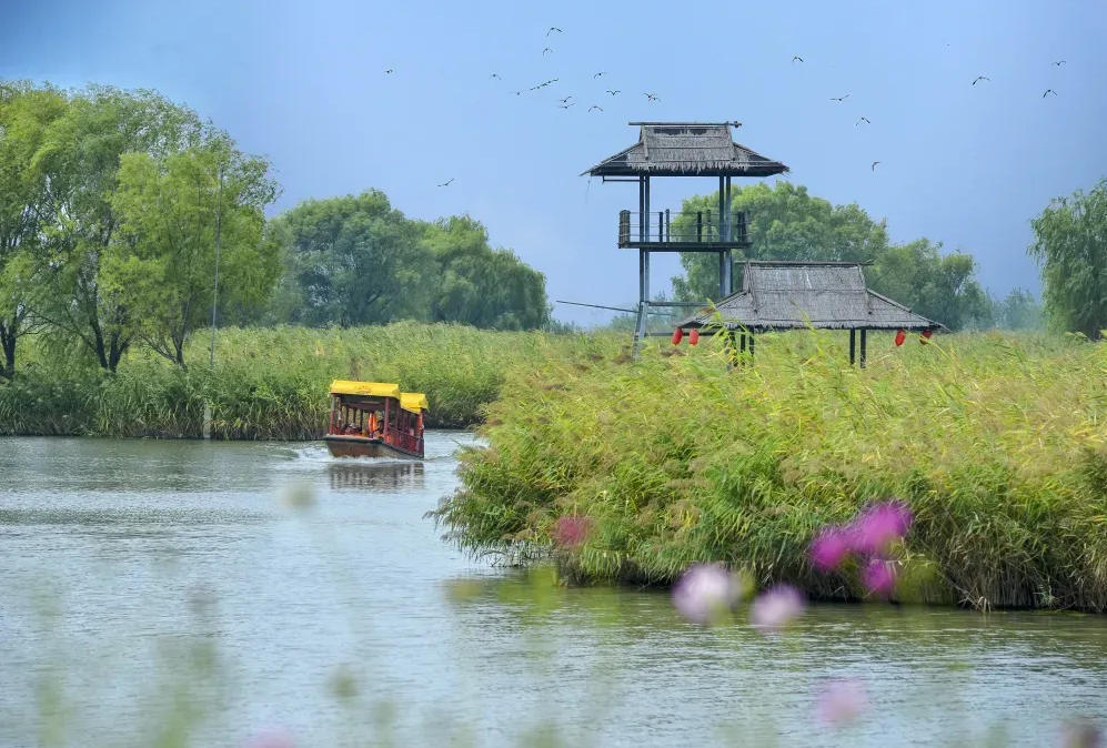 盐都2026：以“高新”为笔，绘就现代化新图景