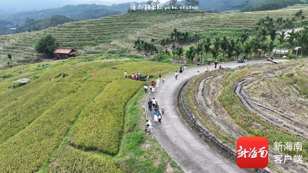 牙胡梯田吸引游客前来观光。图片由毛阳镇提供