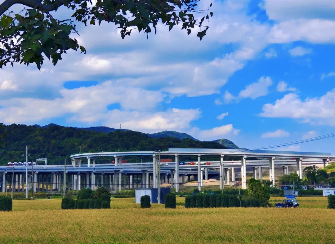 旧土地长出新产业！柴桥五年“大变样”