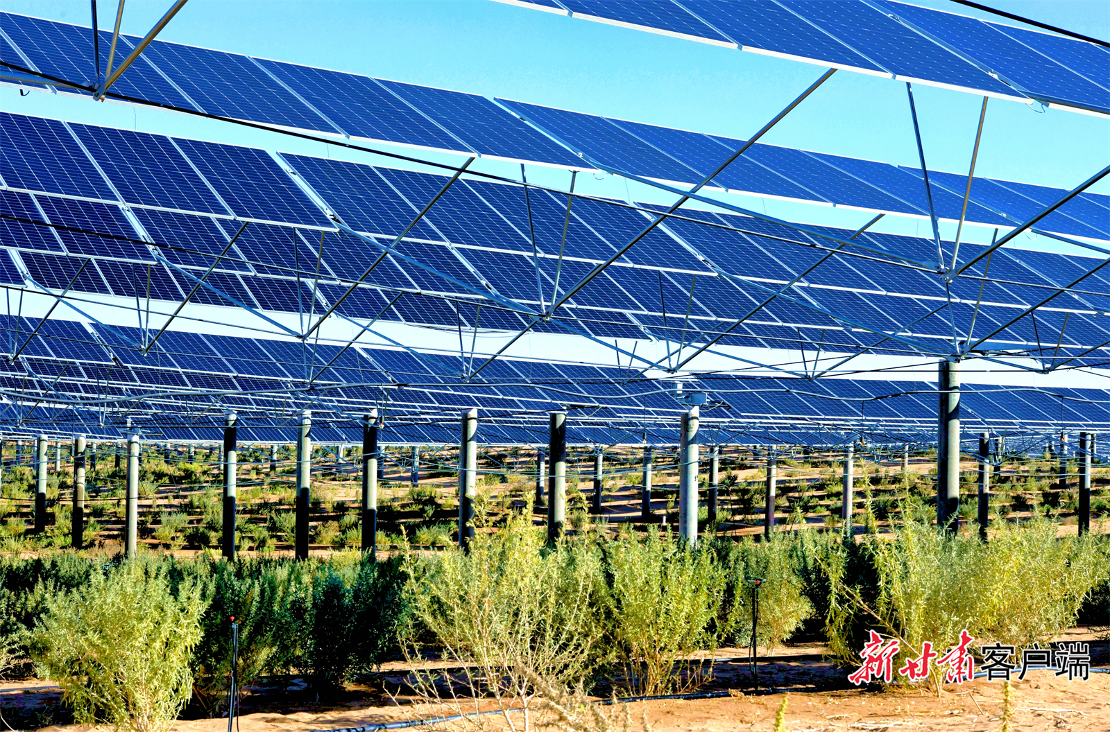 凉州区打造“板上发电、板间经济、板下固沙”的复合生态产业(资料图)