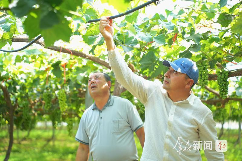 2025年6月15日，在渭南葡萄产业园，中亚五国职业农民培训班的学员们正在观察滴灌系统。 群众新闻记者 耿杨洋摄