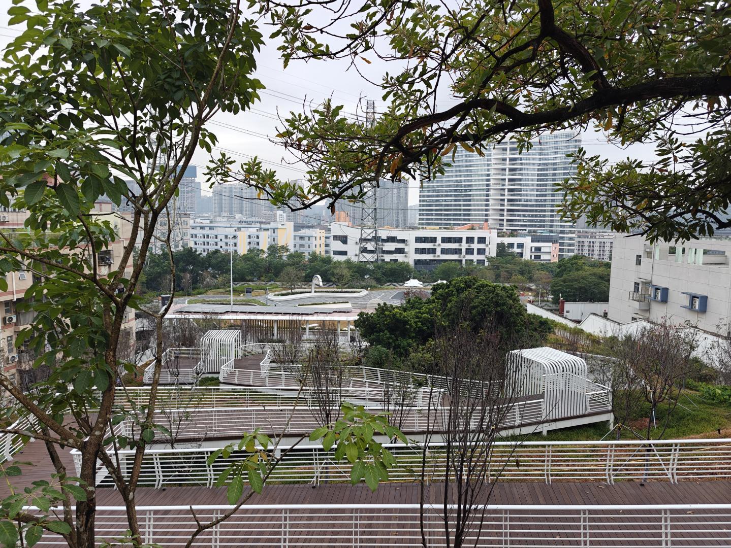 科技与生态共舞!腾讯村周边环境整治工程焕新城市“绿心”