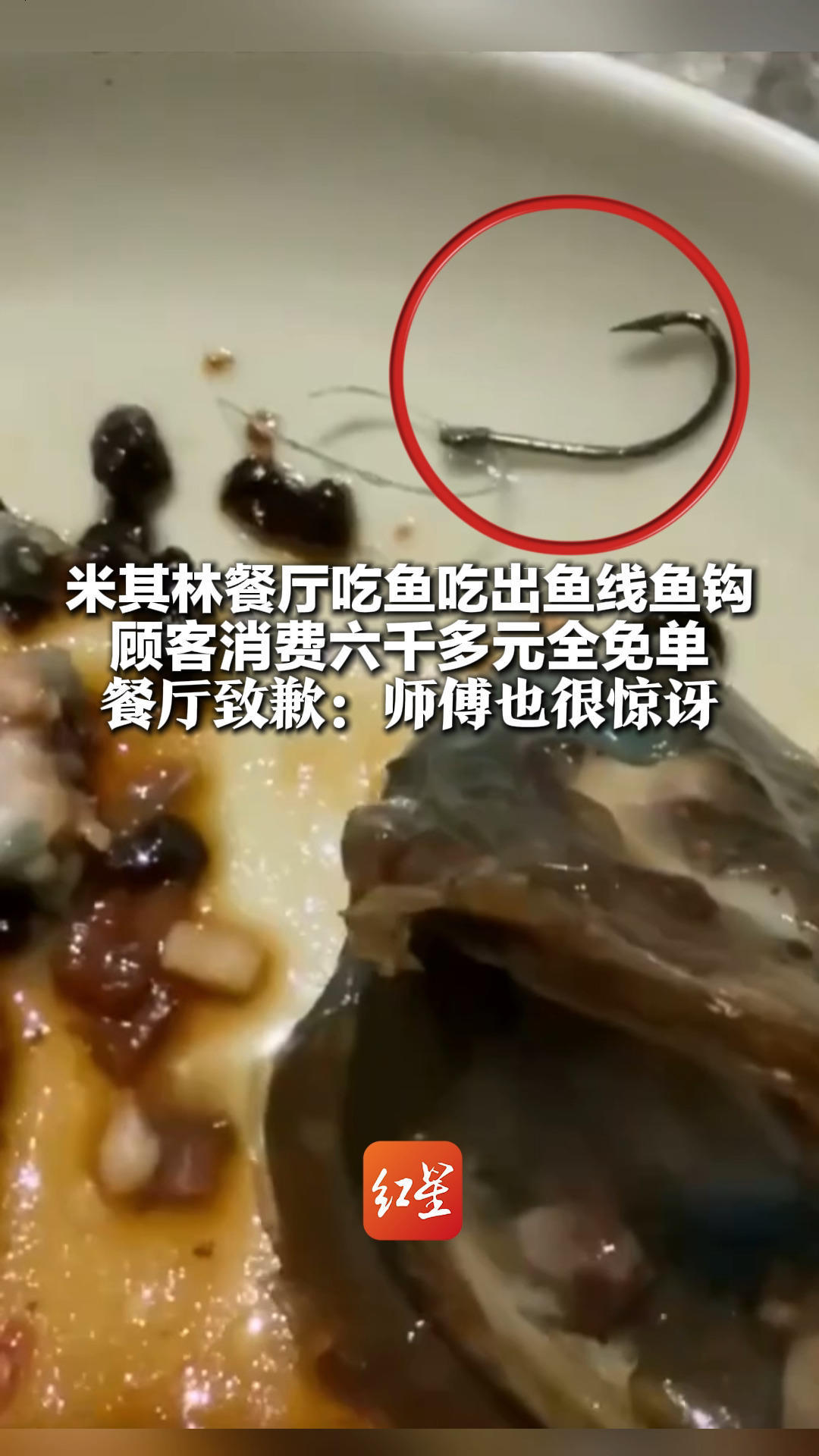 米其林餐厅吃鱼吃出鱼线鱼钩！顾客消费六千多元全免单 餐厅致歉：师傅也很惊讶 可能是鱼较小，清洗时未发现