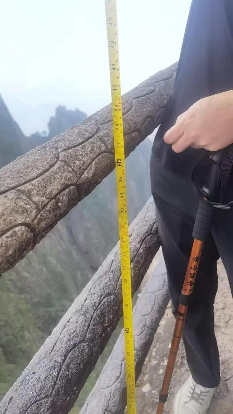 罗先生一方认为护栏高度不够 图/受访者提供