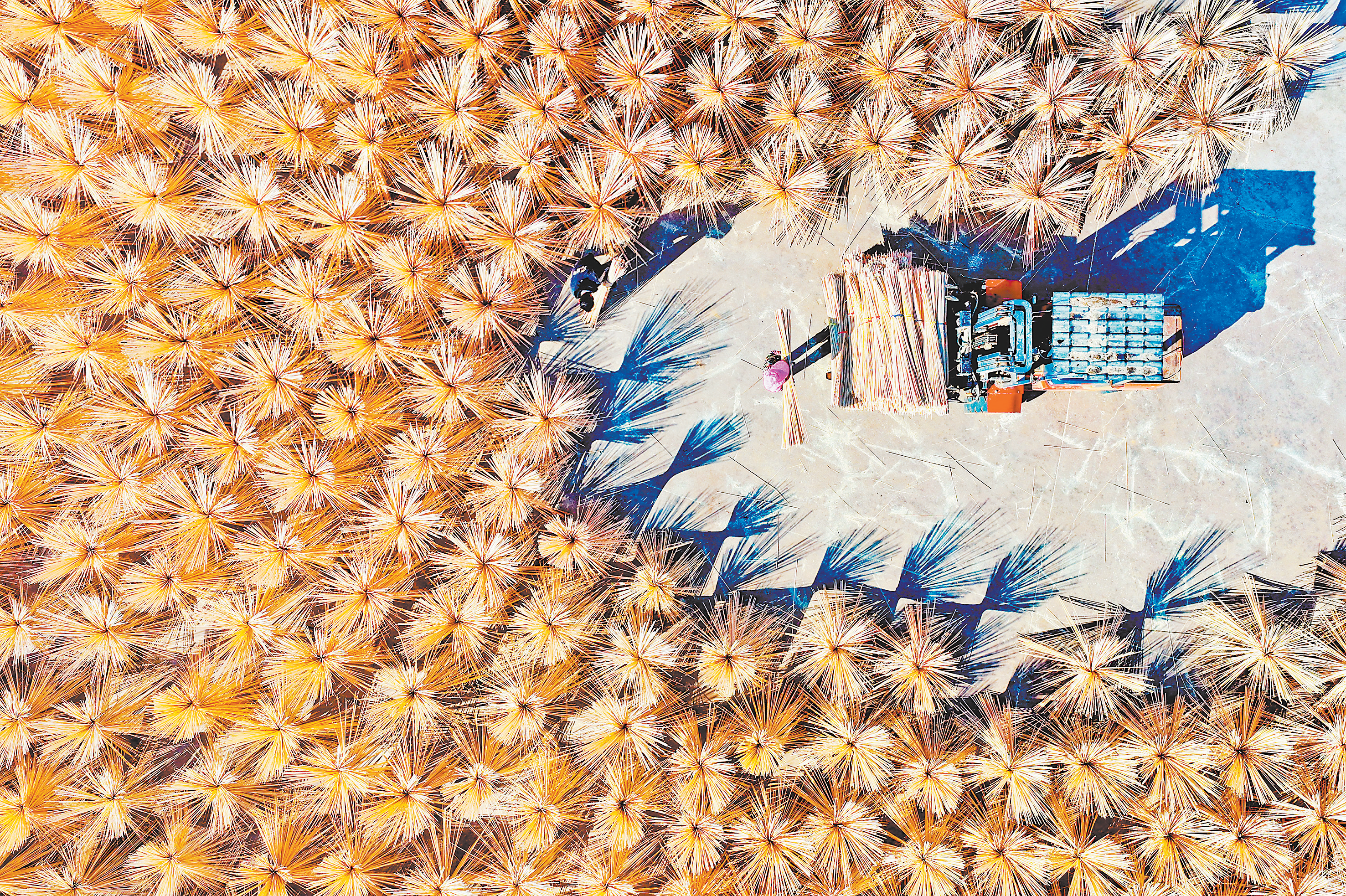 抚州广昌：晾晒竹丝 好加工（图）