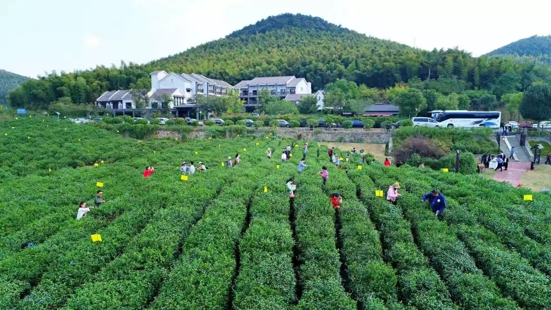 美丽乡村 黄龙岘