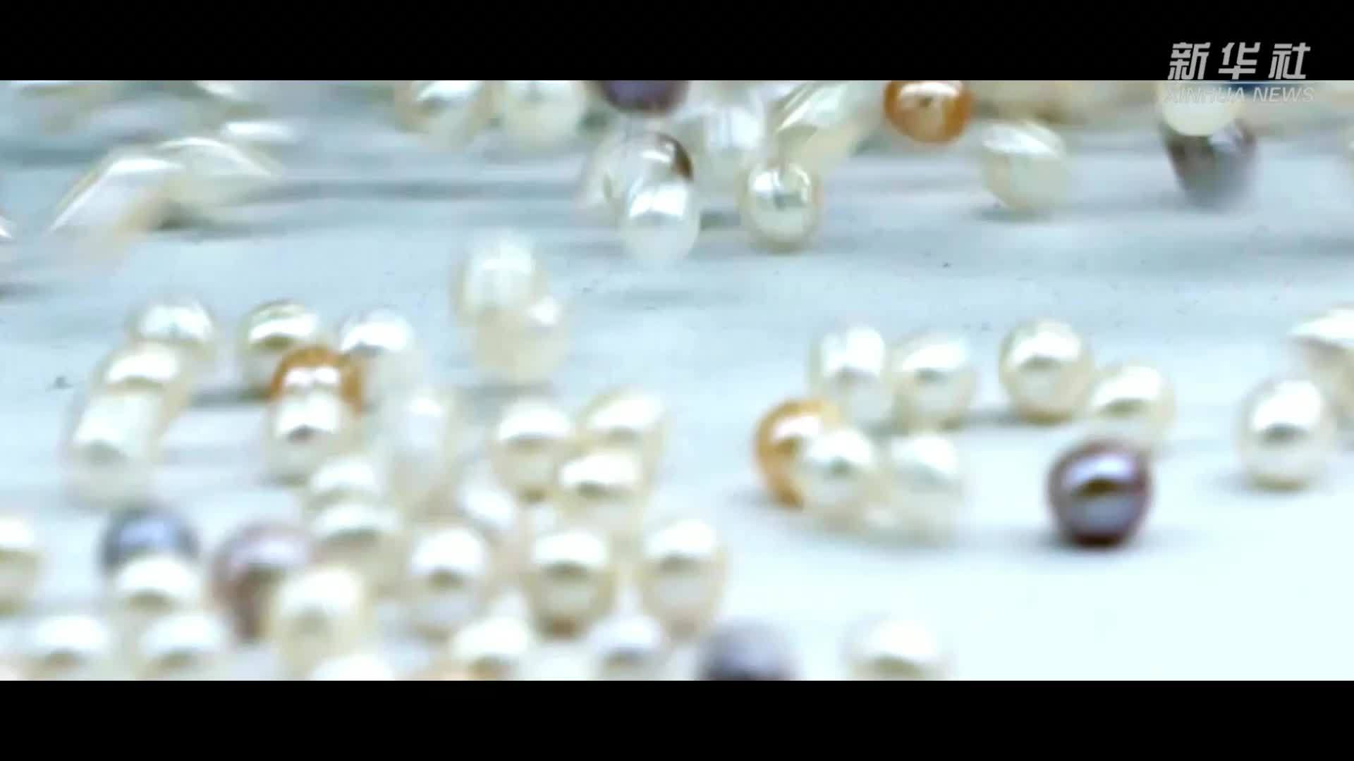 中国经济样本观察·县域样本篇｜浙江诸暨：一个县级市何以拥有两个“产业冠军”？