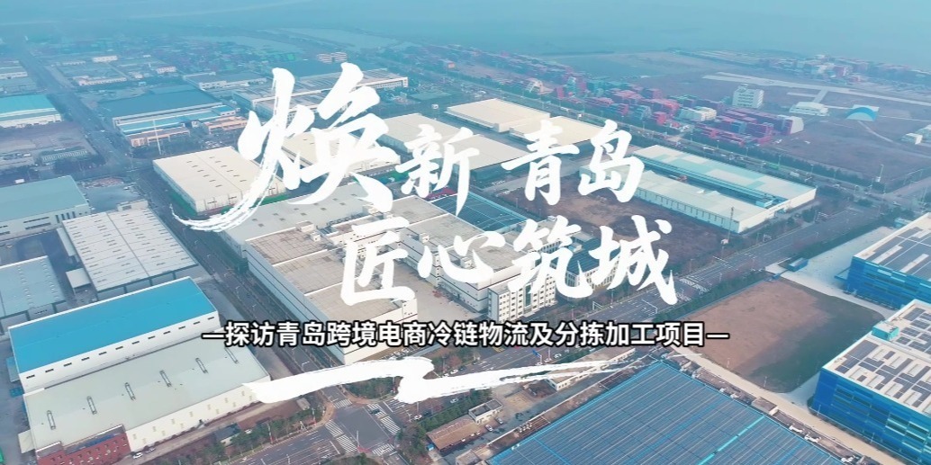 凤凰视频|探访青岛跨境电商冷链物流及分拣加工项目