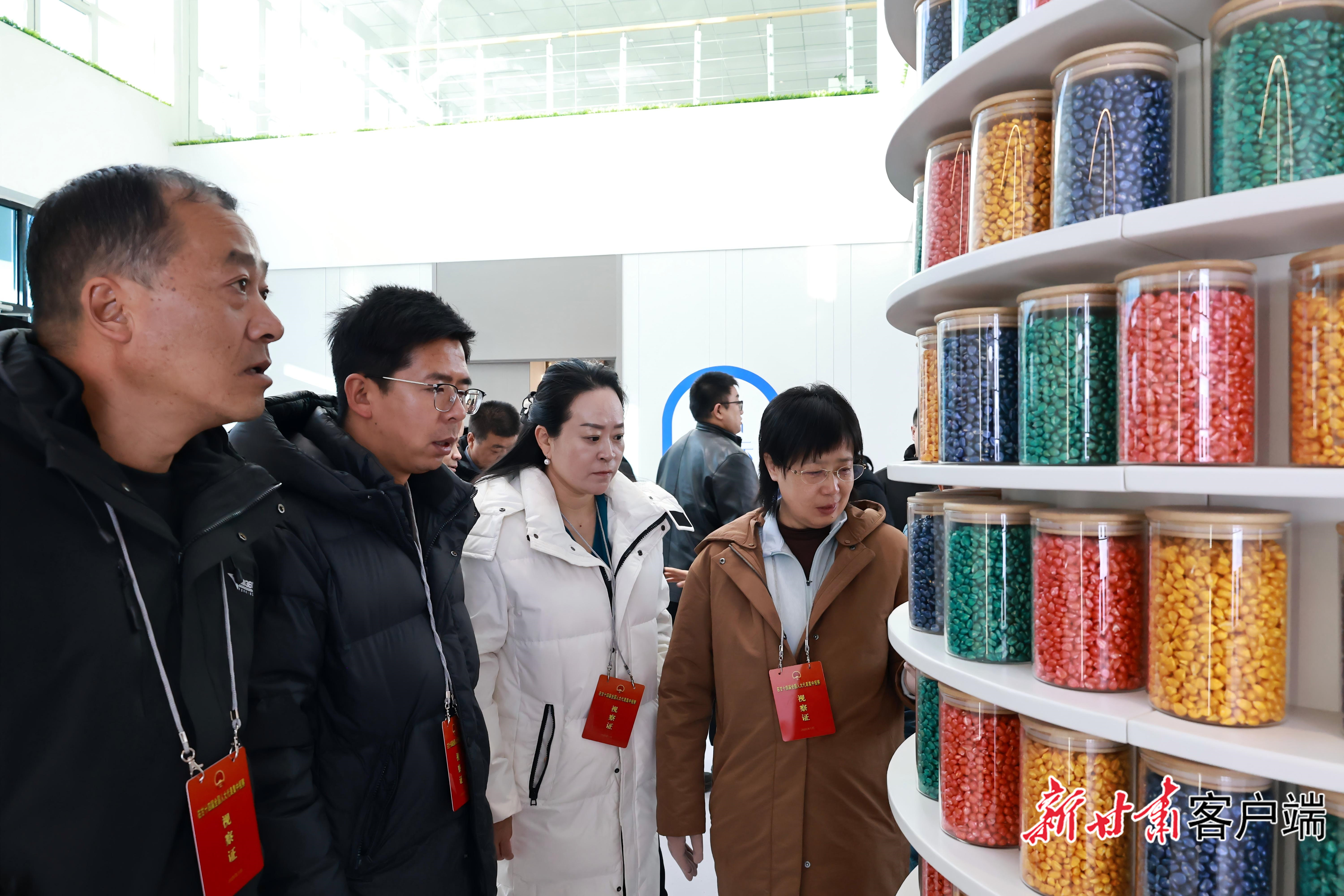 在张掖市登海种业有限公司，在甘全国人大代表们了解玉米种子产业相关情况。