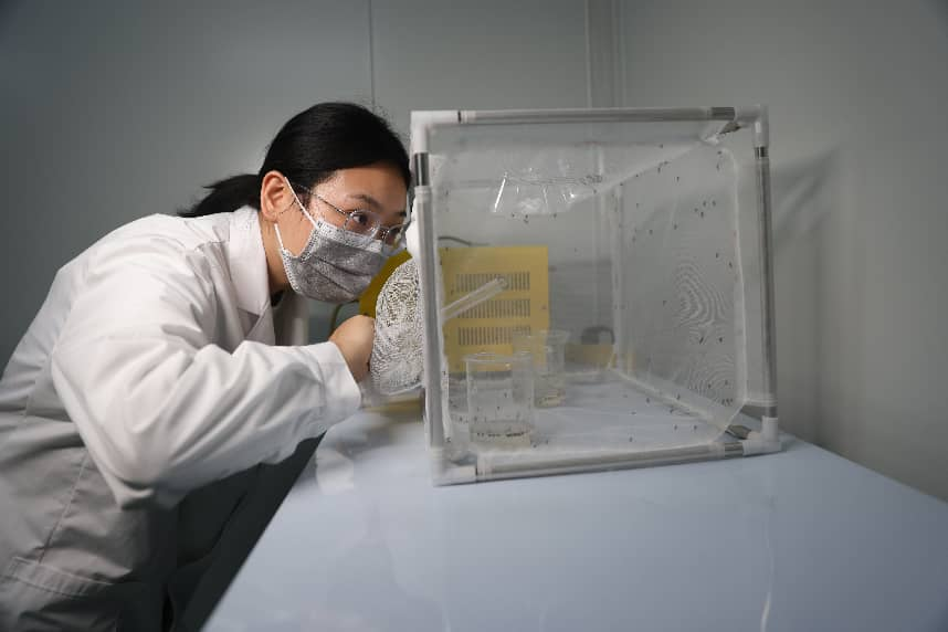 点击查看原始图片