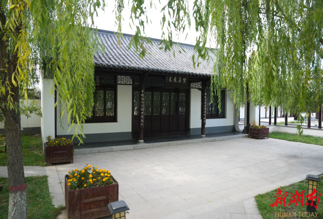 新源县绿杨公园。