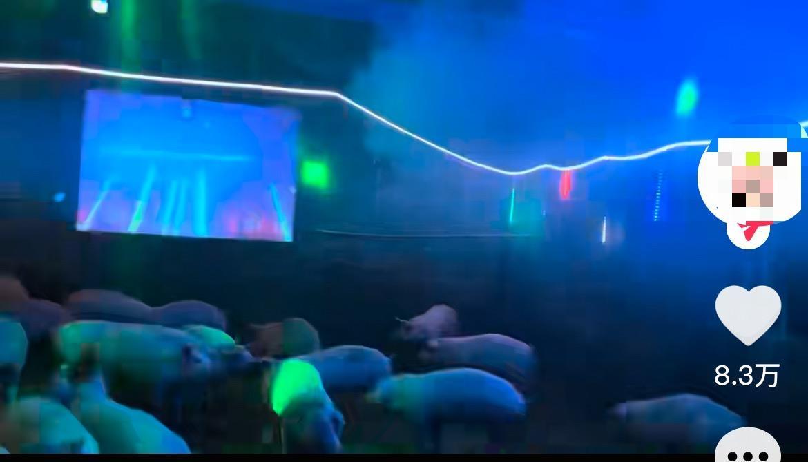 广西玉林95后养猪人放歌给猪听 当事人：花了3000元买设备