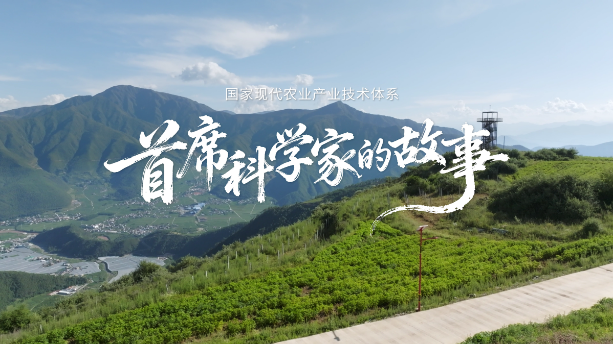 纪录片《首席科学家的故事》新闻发布会在京举行 纪录片《首席科学家的故事》新闻发布会在京举行