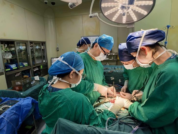 丁小明主任团队成功实施马蹄肾移植手术