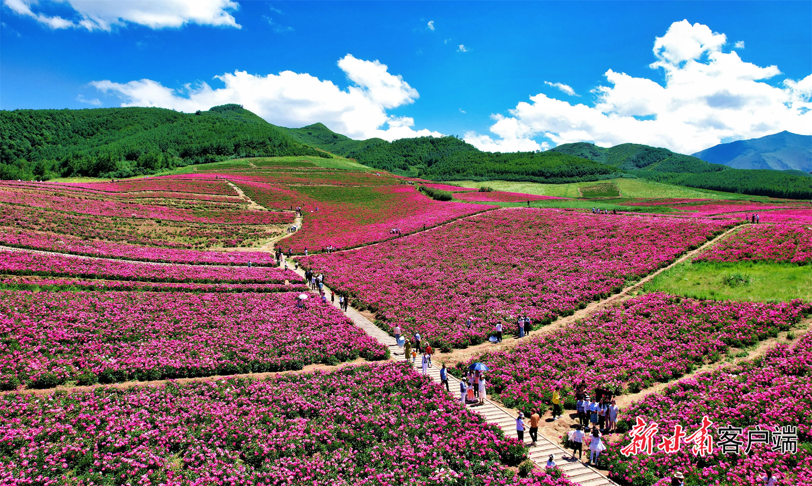 古浪县南部美景如画(资料图)本文图片均由新甘肃·甘肃日报记者 金奉乾 摄