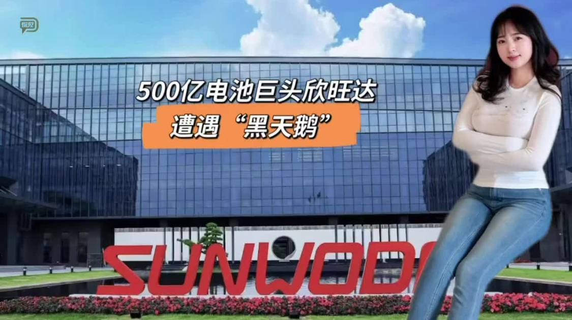 500亿电池巨头欣旺达，遭遇“黑天鹅”