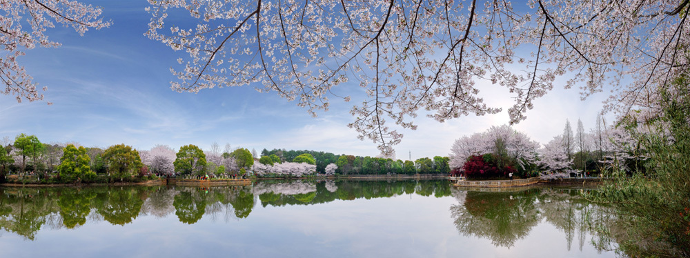 对市民开放!江西省林科院发布今春赏花温馨提醒