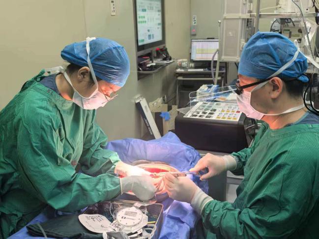 丁小明主任团队修整马蹄肾及重建血管