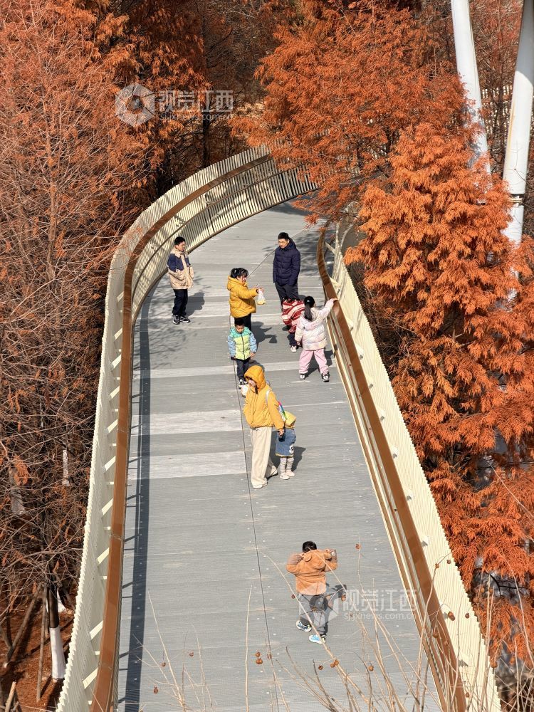 假期乐游（图）