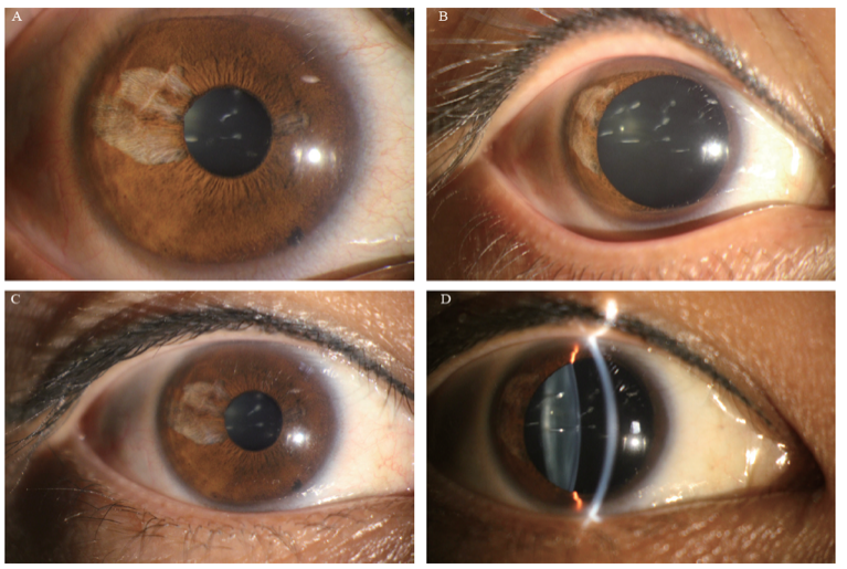 画面可能导致不适，谨慎点入