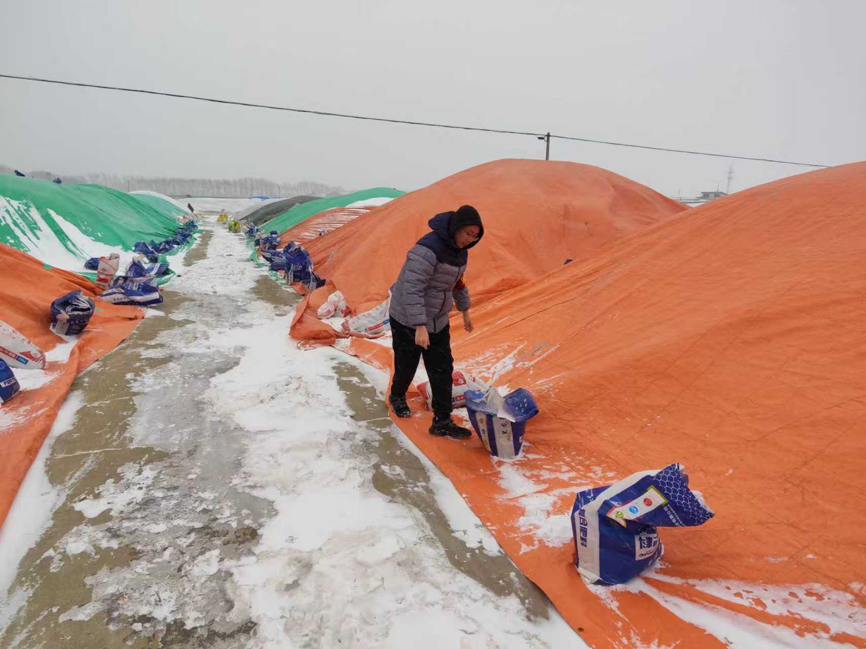 对各单位晒场现存粮食进行全面普查