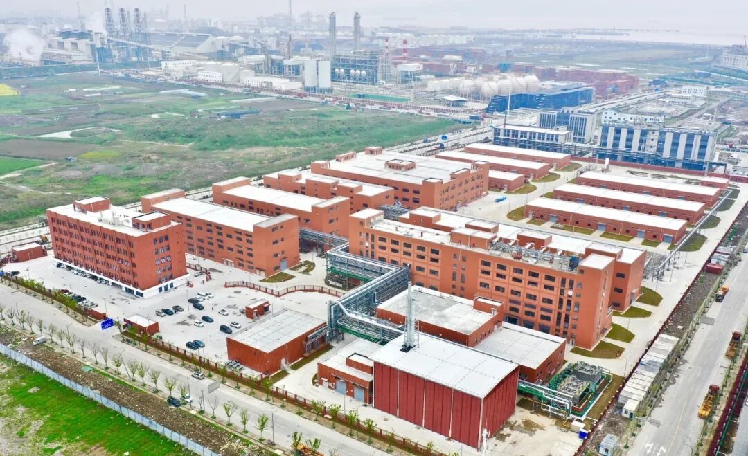 旧土地长出新产业！柴桥五年“大变样”