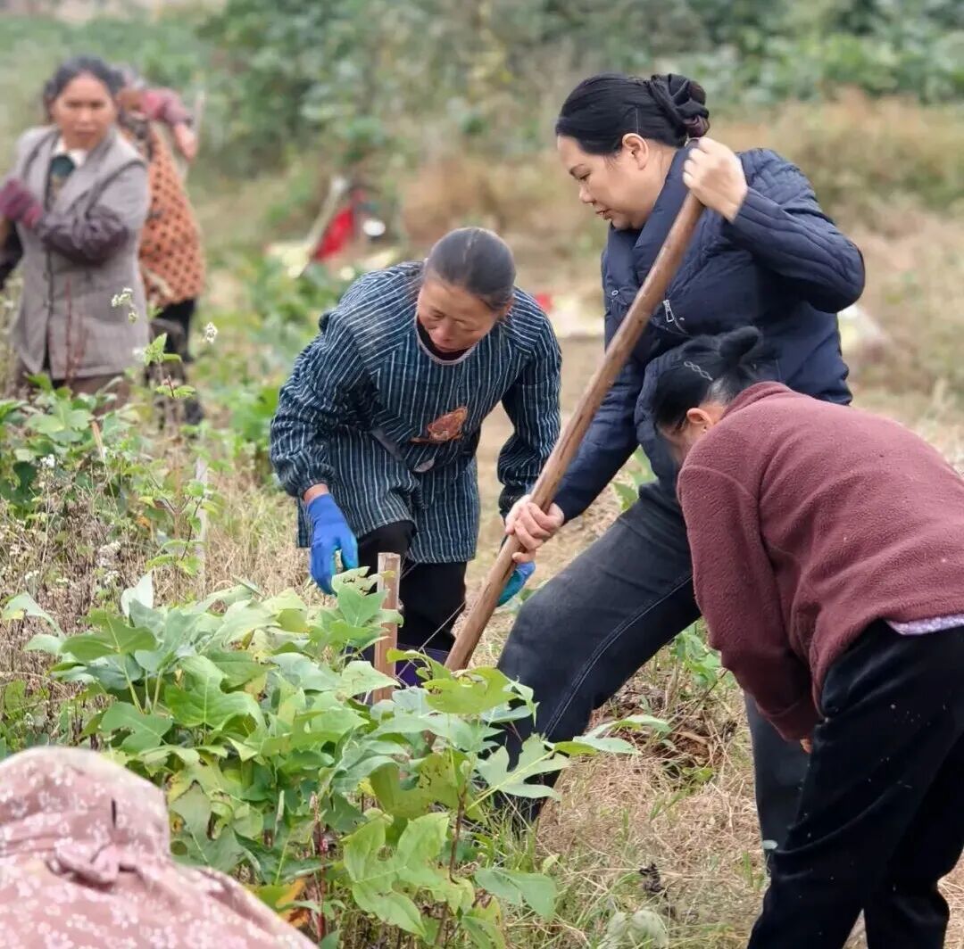 中国企业家&middot;王廷英 | 《弘毅》发展新质生产力，开启中国式现代化伟大征程的知行合一