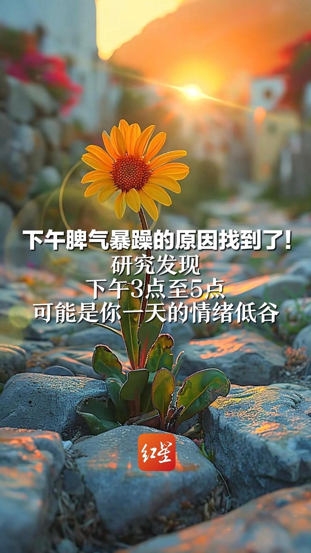 下午脾气暴躁的原因找到了！研究发现下午3点至5点 可能是你一天的情绪低谷