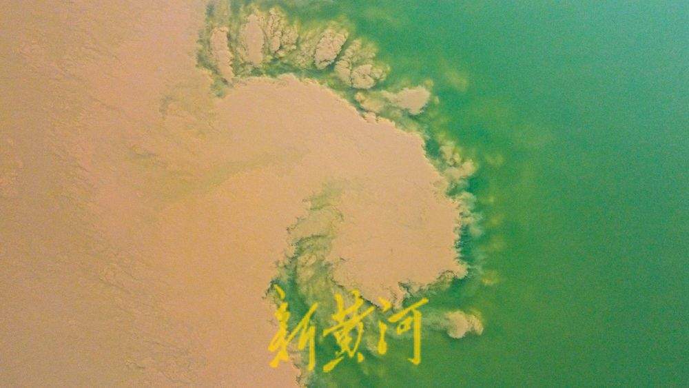 黄河水由浊变清，济南玉清湖水库沉砂池现黄绿交融壮美画卷