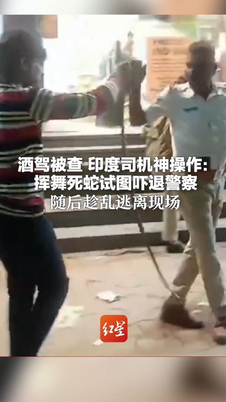 酒驾被查 印度司机神操作：挥舞死蛇试图吓退警察 大喊“把我的车还给我”随后趁乱逃离现场