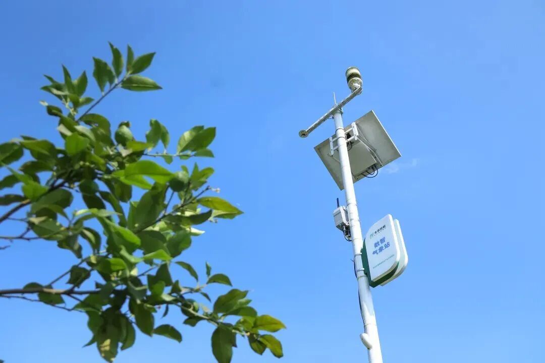 全国74席，丰农控股独占两席！入选农业农村部智慧种植典型案例