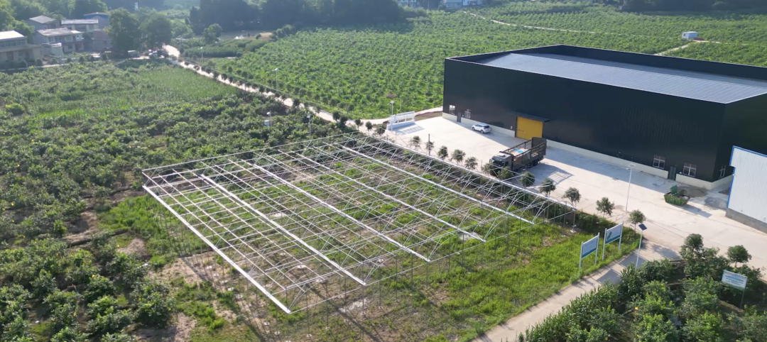 全国74席，丰农控股独占两席！入选农业农村部智慧种植典型案例