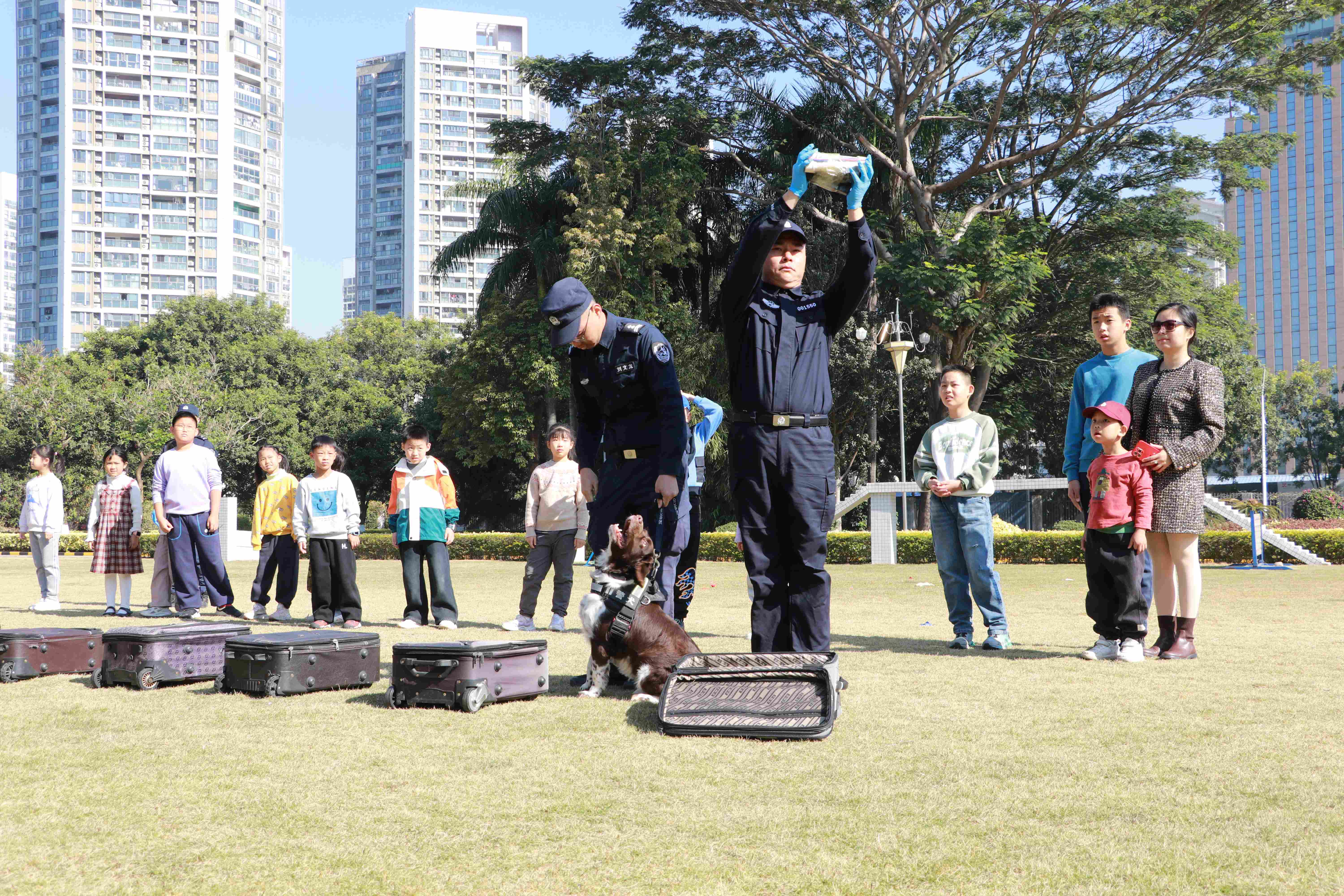 深圳少年警营:“三位一体”教官体系构建青少年教育新标杆