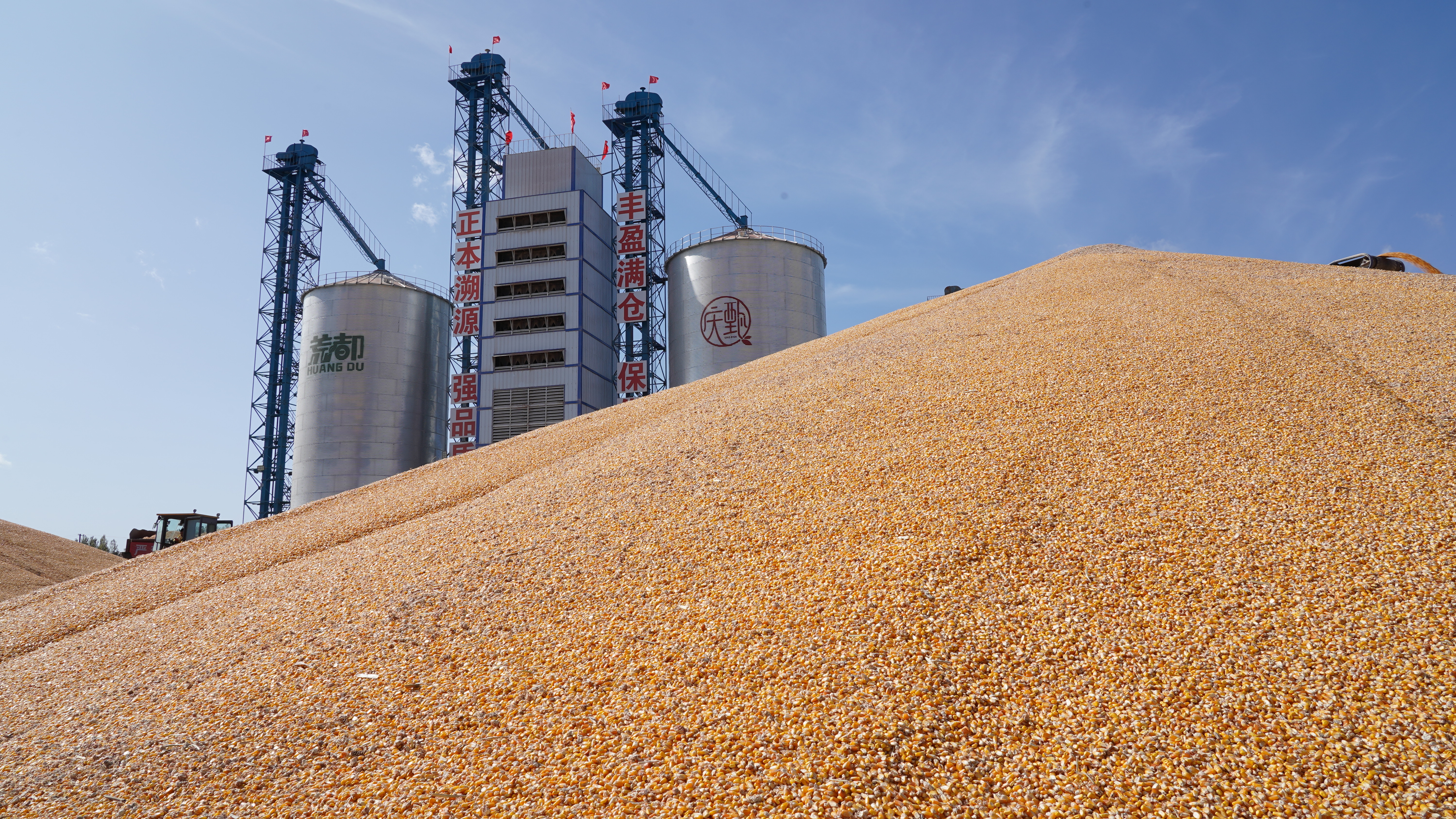 北大荒农业股份庆丰分公司粮食仓储中心院内