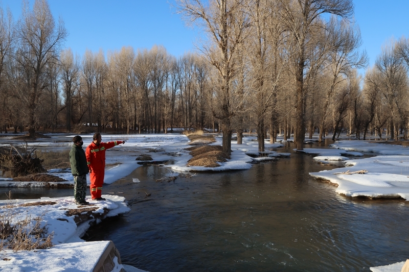 "闲置水"变冬眠水 甘肃临泽3万多亩林区开启冬灌模式