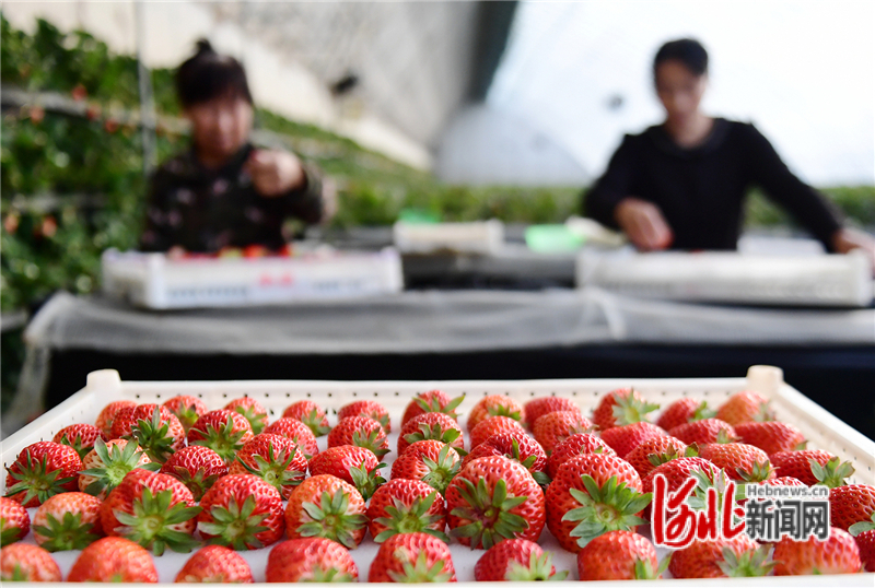 摄影报道|孙慧军