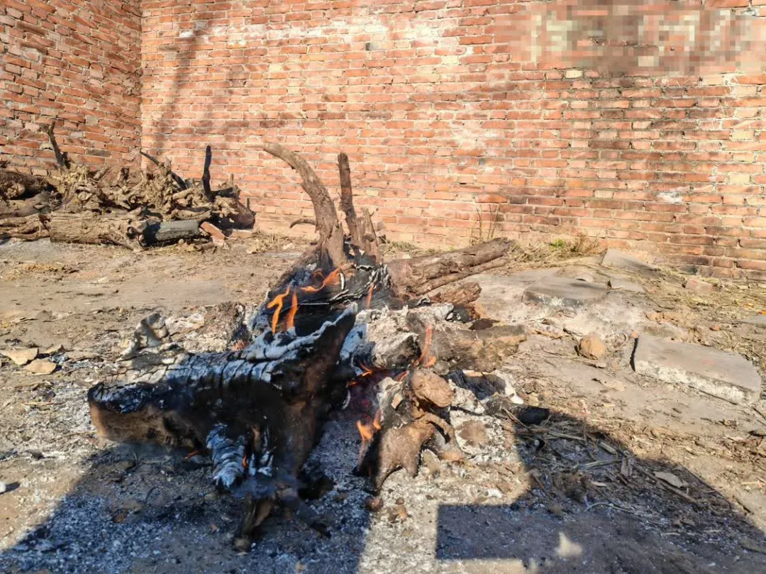 河北农民的冬天：环保的成本应由受益方共担_https://www.izongheng.net_快讯_第2张